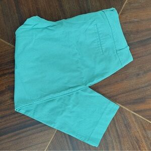 The Limited Mint Green Patterned Pants